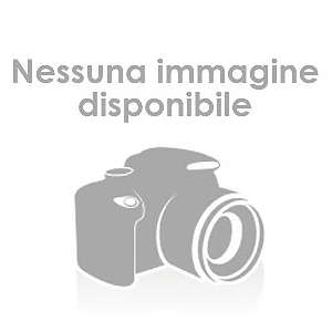 Opzione alta risoluzione 30 kg x 1 g per bilance NWS e NWL