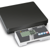 Bilancia pesapersone KERN MPB 300K100
