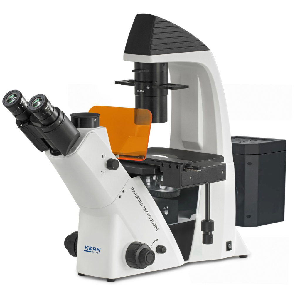Microscopio invertito KERN OCM 168
