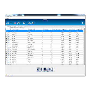 Software DBM per compilazione rapida archivi bilancia